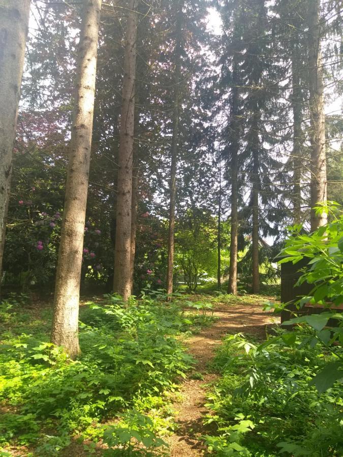 Hochwald-Ensuite Бад-Закса Экстерьер фото